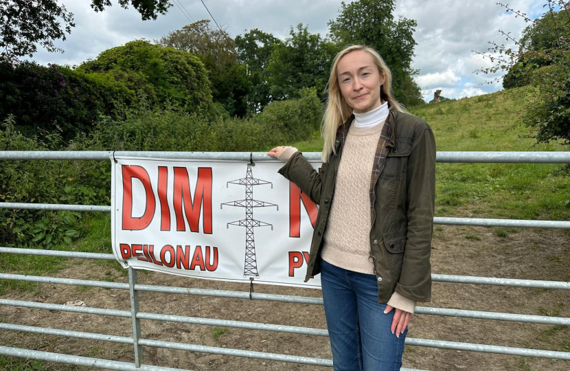 Tara-Jane Sutcliffe opposing pylons in the Tywi Valley