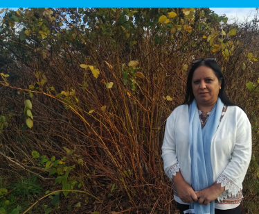 Llanelli's knotweed and Cllr Shahana Najmi